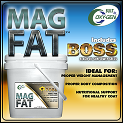 Mag Fat Boss by OxyGen to promote weight gain and build muscle from Oxy-Gen 