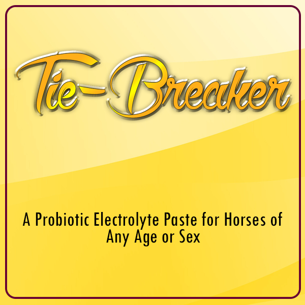 Tie Breaker Performance Paste for Horses from Oxy-Gen 