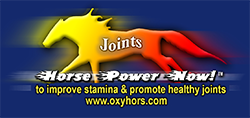 Horse Power Now for Joints performance paste