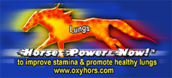 Horse Power now for Lungs performance paste