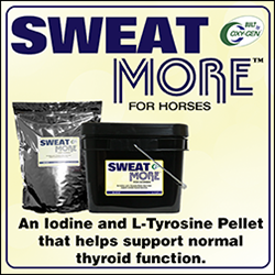 Sweat More for horses by Oxy-Gen supports thyroid function for combating anhidrosis, non sweaters